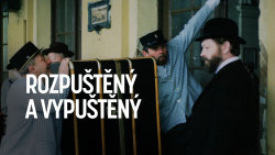 Rozpuštěný a vypuštěný