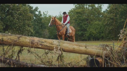 Dramatický pád Michala Dlouhého v seriálu O lidech a koních
