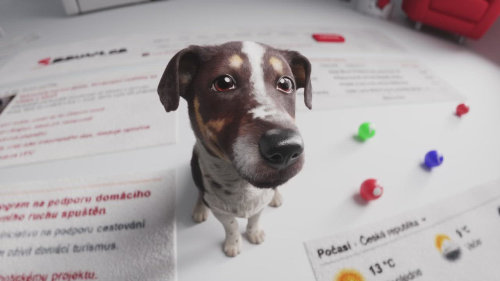 SHOWTIME, 23.12. v 19:55