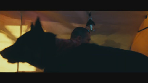 Český první trailer filmu V srdci divočiny