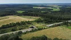 Zvířecí přechody