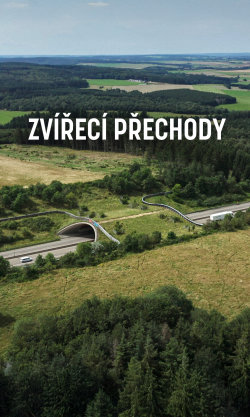 Zvířecí přechody