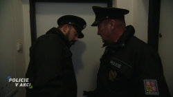 Policie v akci