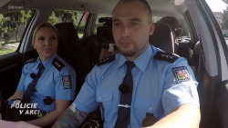 Policie v akci