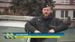 Policie v akci