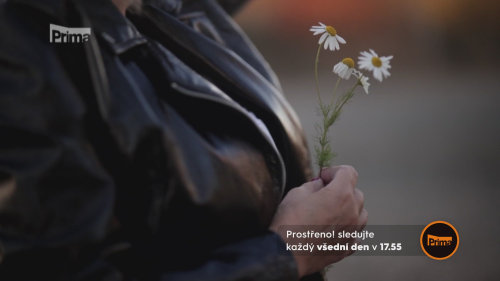 Chvilka poezie s Evou - Prostřeno! S30 (194)