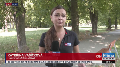 ZPRÁVY, 31.7. v 11:00