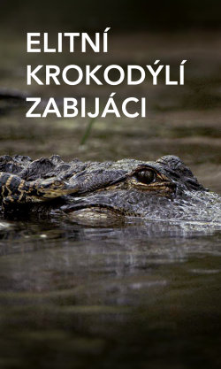 Elitní krokodýlí zabijáci