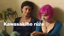 Kawasakiho růže