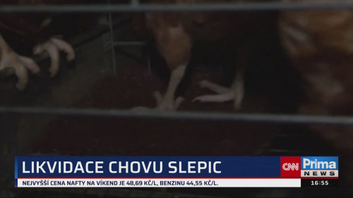 ZPRÁVY Z REGIONŮ, 25.10. v 16:55