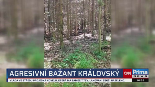 ZPRÁVY Z REGIONŮ - 17.8. v 16:55