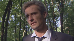Cesty domů