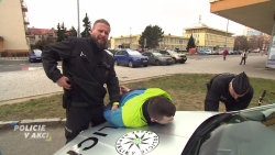 Policie v akci