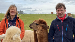 Veterinář z Yorkshiru