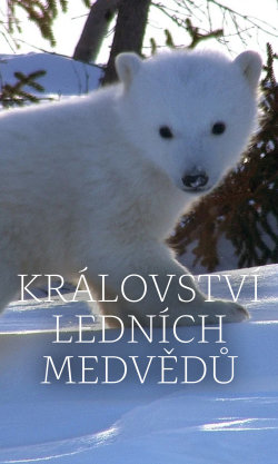 Království ledních medvědů