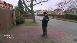 Policie v akci