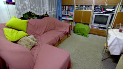 Špinarovi - O2 TV