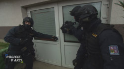 Policie v akci