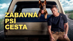 Zábavná psí cesta