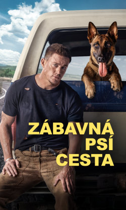 Zábavná psí cesta