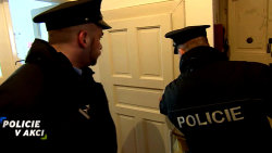 Policie v akci