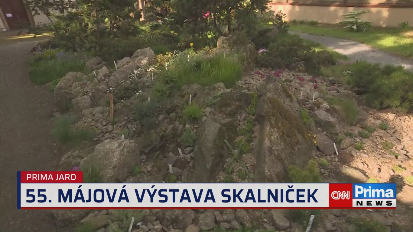 Prima ROK - 5.5. v 15:40 - Prima ROK - CNN Prima NEWS