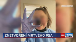 Znetvoření mrtvého psa na pražské veterině vyšetřuje policie