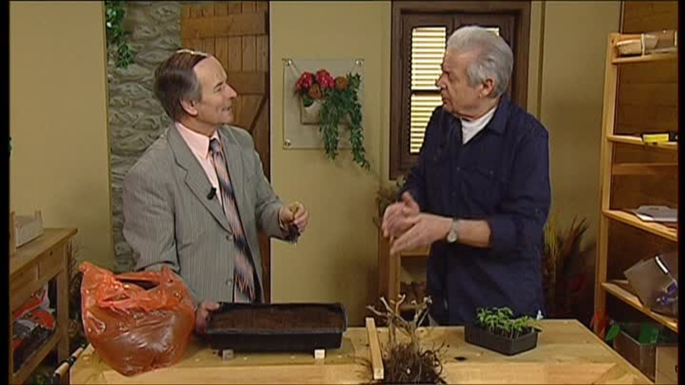 Receptář prima nápadů 2011 (3)