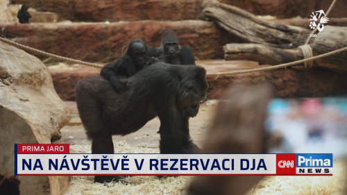 Prima ROK - 27.5. v 15:40