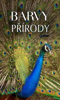 Barvy přírody