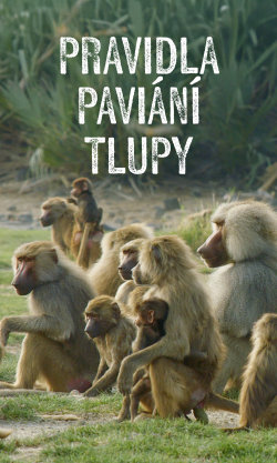 Pravidla paviání tlupy
