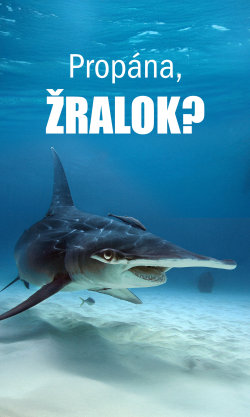 Propána, žralok?