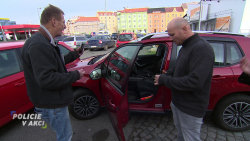 Policie v akci