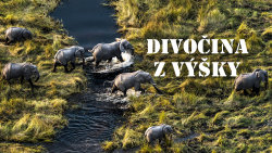 Divočina z výšky