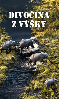 Divočina z výšky