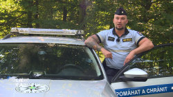 Policie v akci