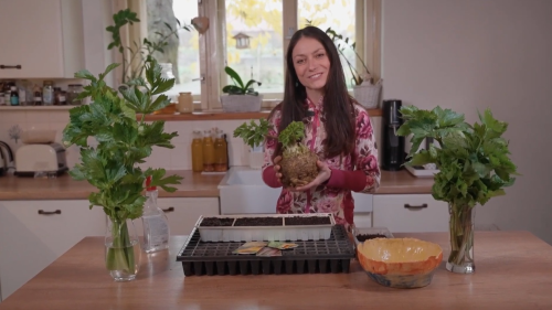 Receptář prima nápadů S23 (33)