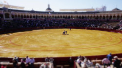 Maličké Torero
