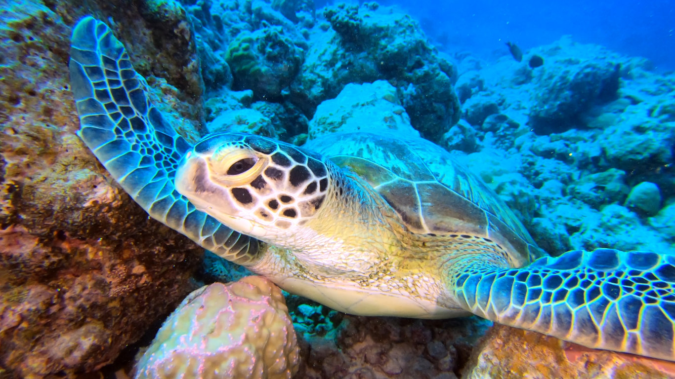 Mauricius: Perla Indického oceánu