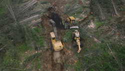 Dřevařští titáni