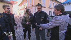 Policie v akci