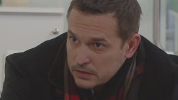 Cesty domů