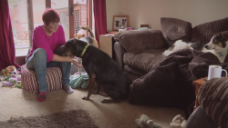 Shelley a Lee, Tracy a Kerry