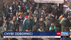 ZPRÁVY Z REGIONŮ - 8.9. v 16:55