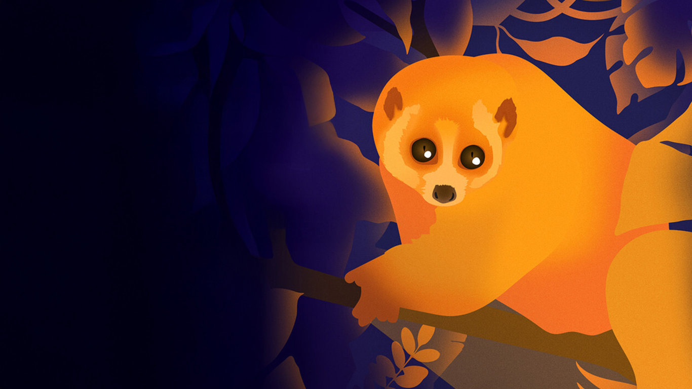 Kukang Movie: Příběh o outloních a lidech