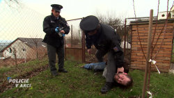 Policie v akci