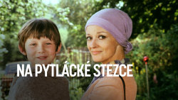 Na pytlácké stezce