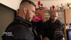 Policie v akci