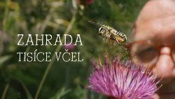 Zahrada tisíce včel