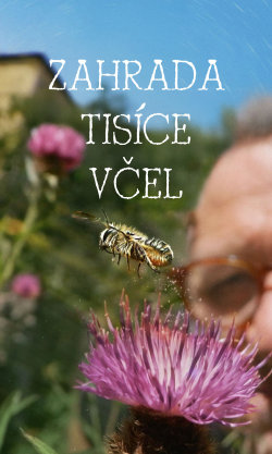 Zahrada tisíce včel